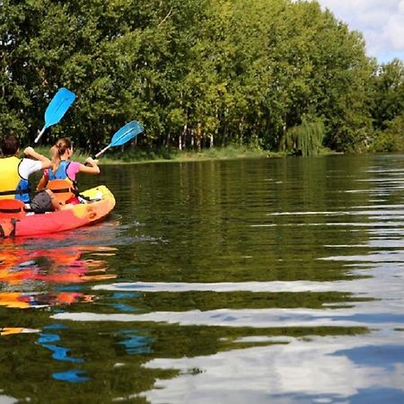 Les Cygnes Au Bord Du Loing Villa Montigny-sur-Loing Bagian luar foto